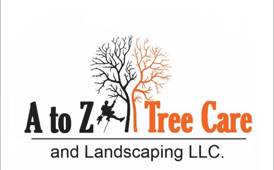 Certified Arborist | A to Z Tree Care LLC | Pierz, MN